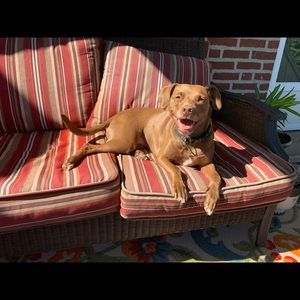 Meet your Posher, Carly